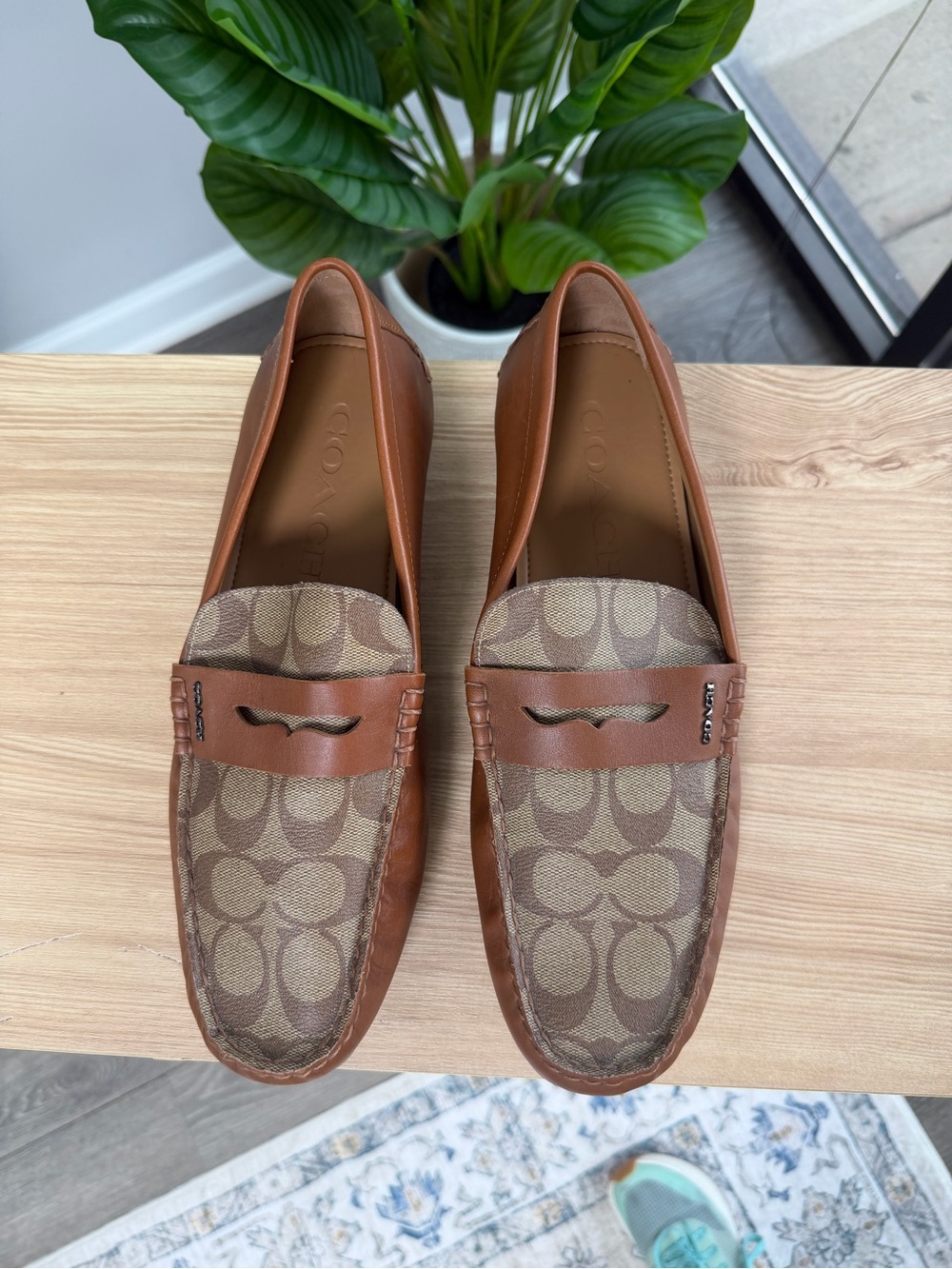 Coach Mott Driver Tan & Brown Signature Canvas Penny Loafers SZ 10D|43 - Picture 3 of 7